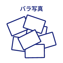 バラ写真のアイコン画像