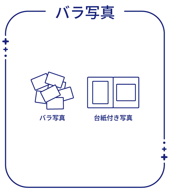 バラ写真
