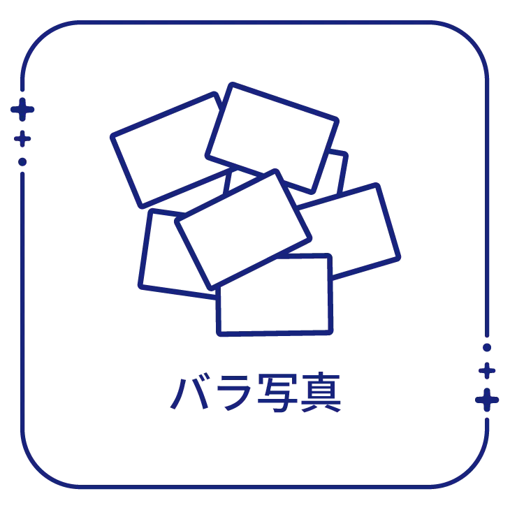 ピクトグラム：バラ写真